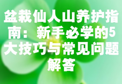盆栽仙人山养护指南：新手必学的5大技巧与常见问题解答
