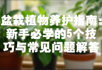 盆栽植物养护指南：新手必学的5个技巧与常见问题解答