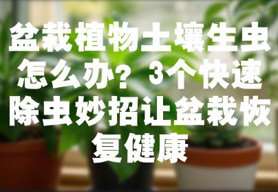 盆栽植物土壤生虫怎么办？3个快速除虫妙招让盆栽恢复健康