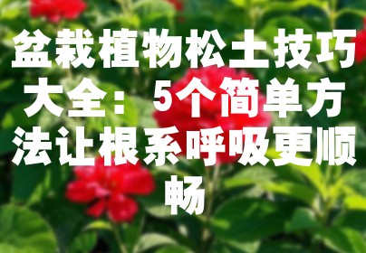 盆栽植物松土技巧大全：5个简单方法让根系呼吸更顺畅