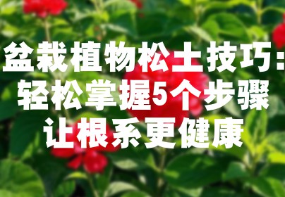 盆栽植物松土技巧：轻松掌握5个步骤让根系更健康