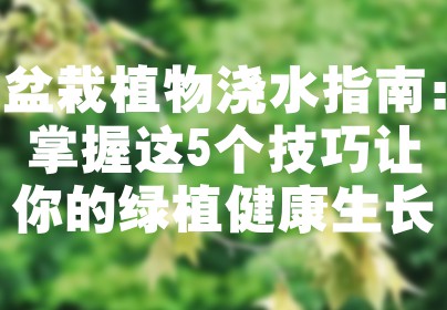 盆栽植物浇水指南：掌握这5个技巧让你的绿植健康生长