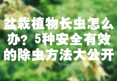 盆栽植物长虫怎么办？5种安全有效的除虫方法大公开