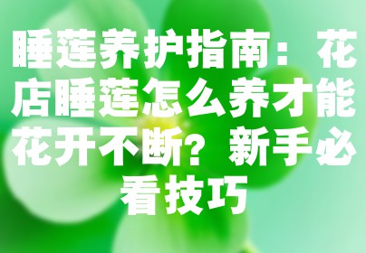 睡莲养护指南：花店睡莲怎么养才能花开不断？新手必看技巧