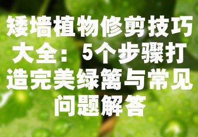 矮墙植物修剪技巧大全：5个步骤打造完美绿篱与常见问题解答