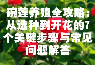 碗莲养殖全攻略：从选种到开花的7个关键步骤与常见问题解答