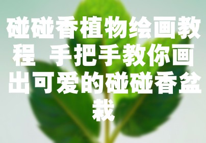 碰碰香植物绘画教程 手把手教你画出可爱的碰碰香盆栽