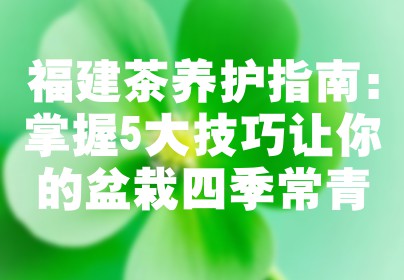 福建茶养护指南：掌握5大技巧让你的盆栽四季常青