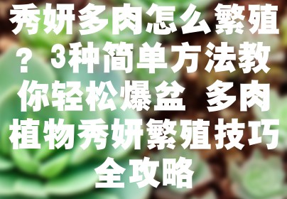 秀妍多肉怎么繁殖？3种简单方法教你轻松爆盆 多肉植物秀妍繁殖技巧全攻略