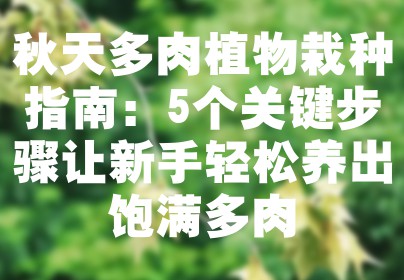 秋天多肉植物栽种指南：5个关键步骤让新手轻松养出饱满多肉