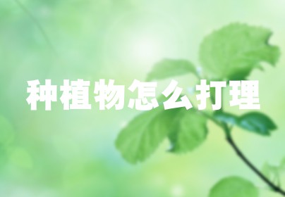 种植物怎么打理