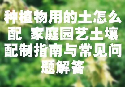 种植物用的土怎么配 家庭园艺土壤配制指南与常见问题解答