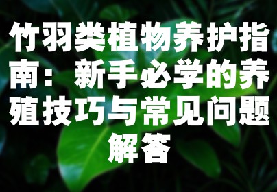 竹羽类植物养护指南：新手必学的养殖技巧与常见问题解答