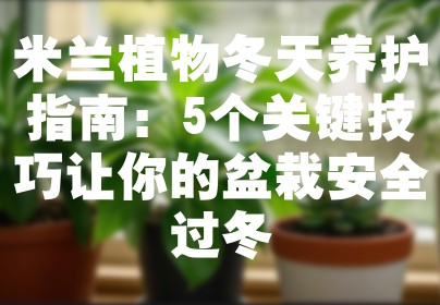 米兰植物冬天养护指南：5个关键技巧让你的盆栽安全过冬