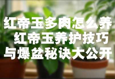 红帝玉多肉怎么养 红帝玉养护技巧与爆盆秘诀大公开