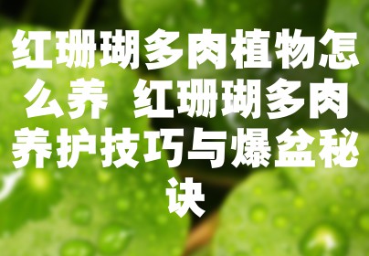 红珊瑚多肉植物怎么养 红珊瑚多肉养护技巧与爆盆秘诀