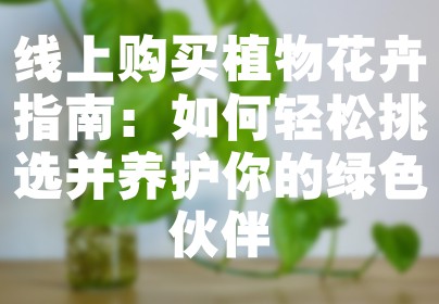 线上购买植物花卉指南：如何轻松挑选并养护你的绿色伙伴