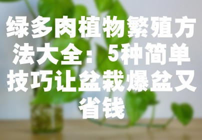 绿多肉植物繁殖方法大全：5种简单技巧让盆栽爆盆又省钱