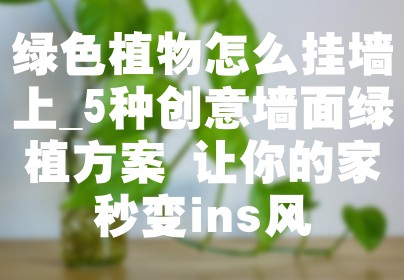绿色植物怎么挂墙上_5种创意墙面绿植方案 让你的家秒变ins风