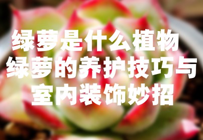 绿萝是什么植物 绿萝的养护技巧与室内装饰妙招