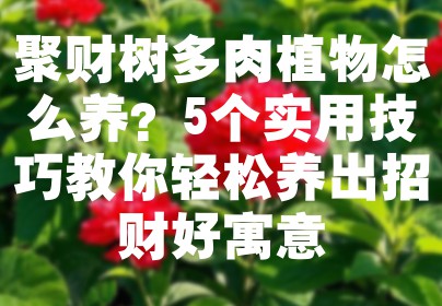 聚财树多肉植物怎么养？5个实用技巧教你轻松养出招财好寓意