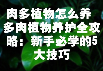 肉多植物怎么养 多肉植物养护全攻略：新手必学的5大技巧