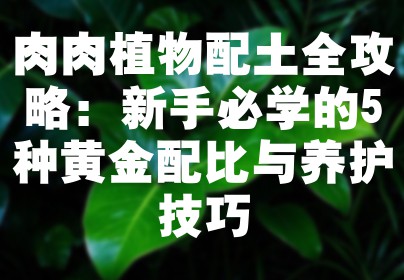 肉肉植物配土全攻略：新手必学的5种黄金配比与养护技巧
