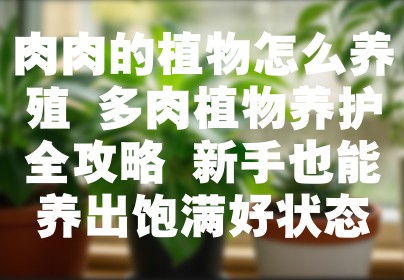 肉肉的植物怎么养殖 多肉植物养护全攻略 新手也能养出饱满好状态