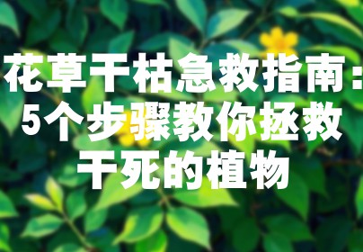 花草干枯急救指南：5个步骤教你拯救干死的植物