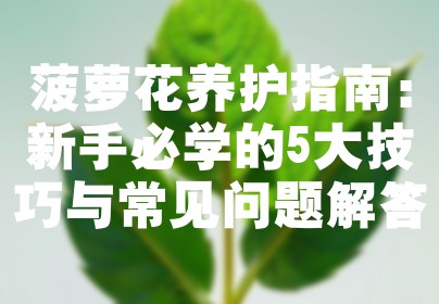 菠萝花养护指南：新手必学的5大技巧与常见问题解答