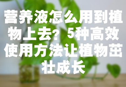 营养液怎么用到植物上去？5种高效使用方法让植物茁壮成长