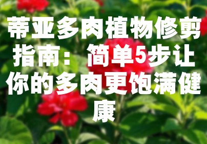 蒂亚多肉植物修剪指南：简单5步让你的多肉更饱满健康