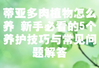 蒂亚多肉植物怎么养 新手必看的5个养护技巧与常见问题解答