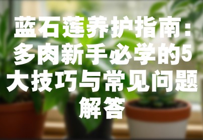蓝石莲养护指南：多肉新手必学的5大技巧与常见问题解答