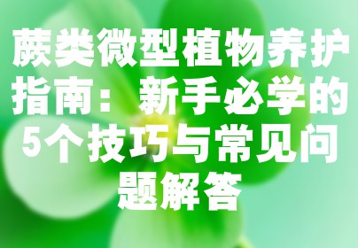 蕨类微型植物养护指南：新手必学的5个技巧与常见问题解答