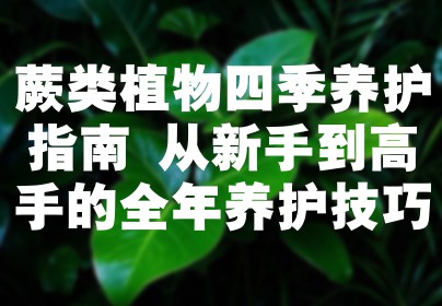 蕨类植物四季养护指南 从新手到高手的全年养护技巧