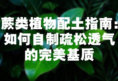蕨类植物配土指南：如何自制疏松透气的完美基质