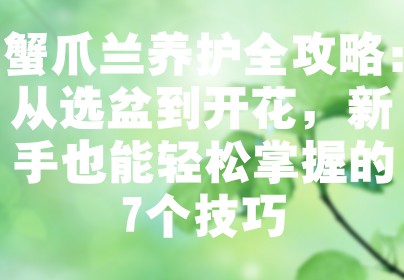 蟹爪兰养护全攻略：从选盆到开花，新手也能轻松掌握的7个技巧