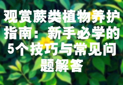 观赏蕨类植物养护指南：新手必学的5个技巧与常见问题解答