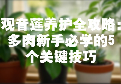 观音莲养护全攻略：多肉新手必学的5个关键技巧