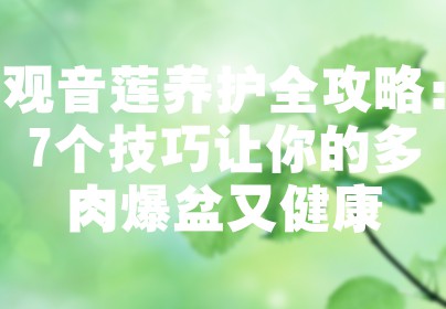 观音莲养护全攻略：7个技巧让你的多肉爆盆又健康