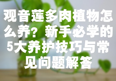 观音莲多肉植物怎么养？新手必学的5大养护技巧与常见问题解答