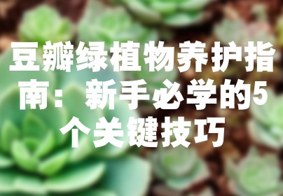 豆瓣绿植物养护指南：新手必学的5个关键技巧