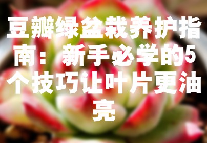 豆瓣绿盆栽养护指南：新手必学的5个技巧让叶片更油亮