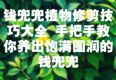 钱兜兜植物修剪技巧大全 手把手教你养出饱满圆润的钱兜兜