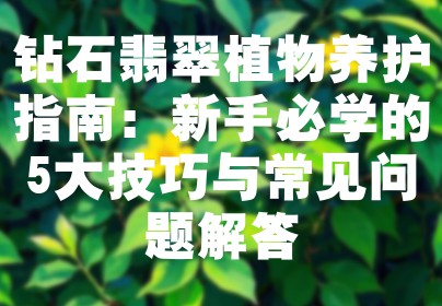 钻石翡翠植物养护指南：新手必学的5大技巧与常见问题解答