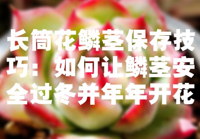 长筒花鳞茎保存技巧：如何让鳞茎安全过冬并年年开花