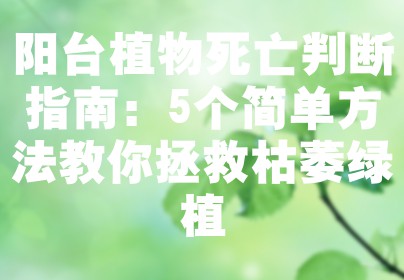 阳台植物死亡判断指南：5个简单方法教你拯救枯萎绿植
