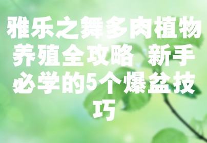 雅乐之舞多肉植物养殖全攻略 新手必学的5个爆盆技巧