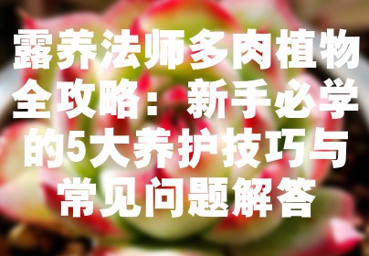 露养法师多肉植物全攻略：新手必学的5大养护技巧与常见问题解答